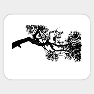 Pine branch Sticker
